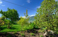 Gepflegter Garten mit Liegewiese