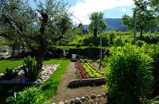 Orto delle erbe e delle verdure al maso Felderer Hof