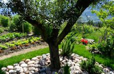 Südtiroler Bauerngarten am Felderer Hof