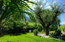 Gepflegter Garten mit Liegewiese