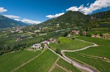 Posizione azienda vinicola Felderer Hof circondata da vigneti