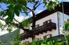 Weingut Felderer Hof in Meran