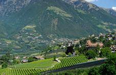 Idyllische Lage - Weingut Felderer Hof in Meran