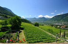 Vista dall’appartamento - Felderer Hof, Merano