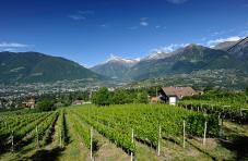 Il panorama alpino su Merano e dintorni