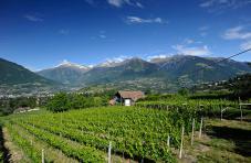 Il panorama alpino di Merano e dintorni da uno dei nostri balconi