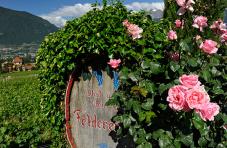 Botte di vino - fattoria di frutta e vino Felderer Hof