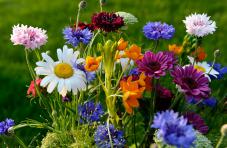 Fiore di campo bouquet