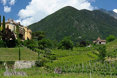 Vacanze in Alto Adige, fra vigneti e castelli