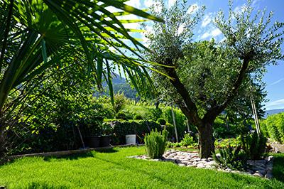 Olivenbäume, Zypressen, Rosmarin & Palmen im Garten des Felderer Hofes