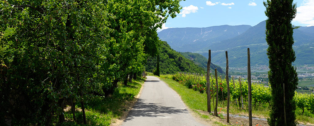 Anreise nach Meran zum Bauernhofurlaub im Felderer Hof