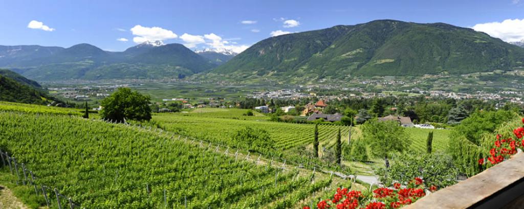 Panorama Ferienwohnung Felderer Hof in Meran